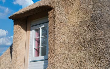 Bransford thatch roof disadvantages