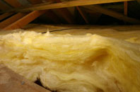 Bransford pitch roof insulation